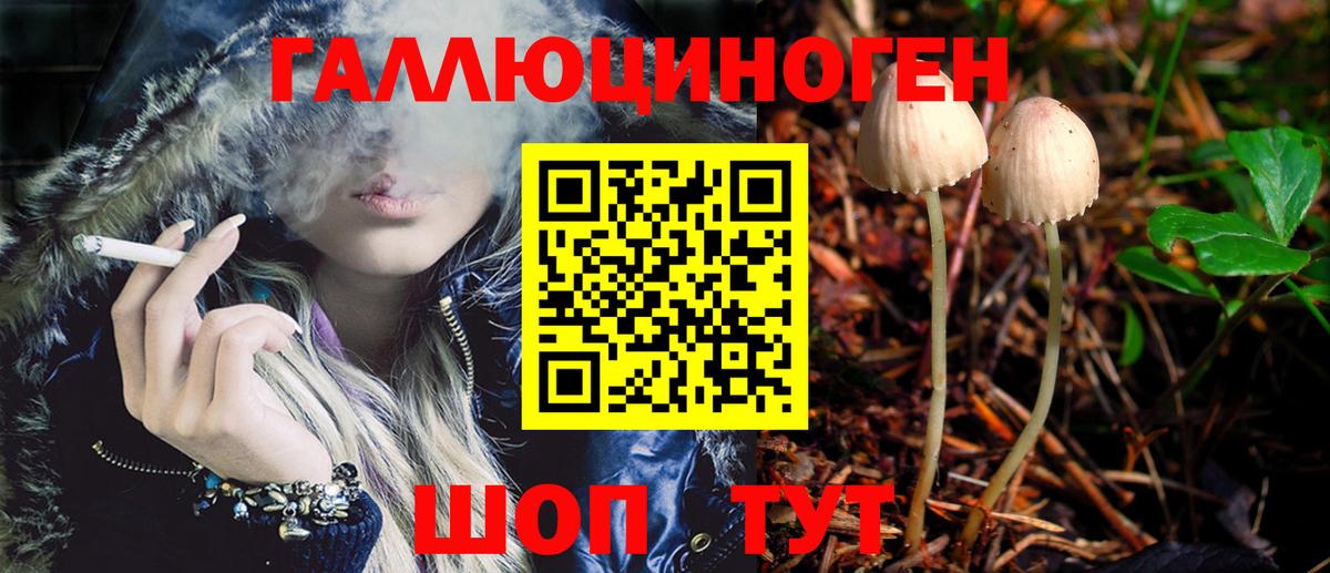 магазин продажи   Вход с VPN  Буйнакск  Галлюциногенные грибы Magic Shrooms 