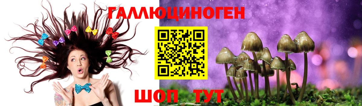 Галлюциногенные грибы мухоморы Буйнакск