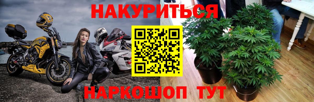 Шишки марихуана Ganja Буйнакск